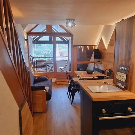 Beau Duplex Au Coeur Des 2 Alpes